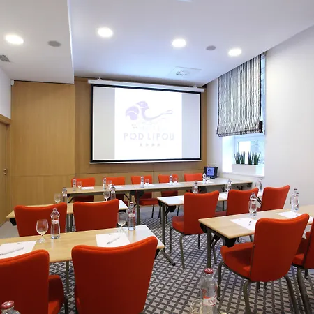 Hotel Pod Lipou 4*